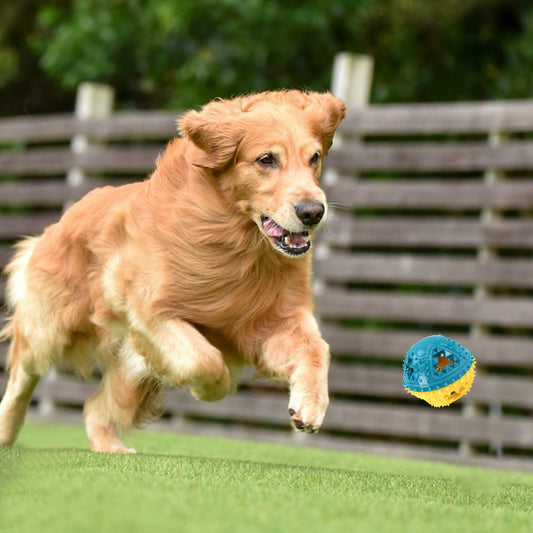 Dog Chew Grinding Teeth Sound Ball Toy