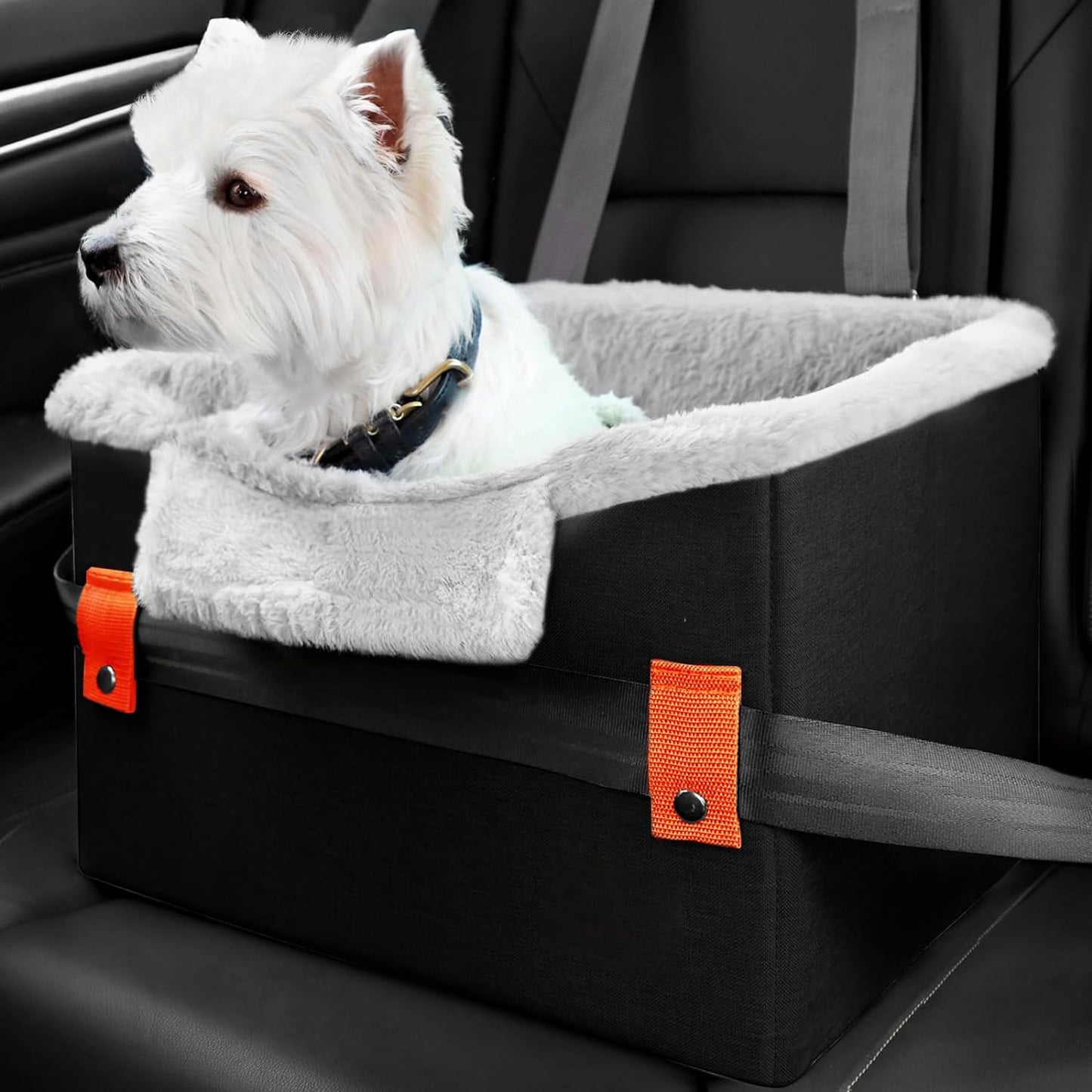 Portable Booster Seat With Clip-On Safety Leash