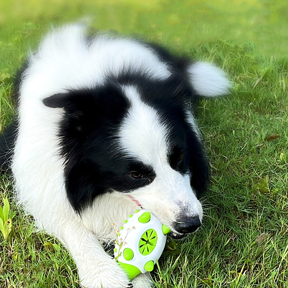 Leaking Food Chewing Toy