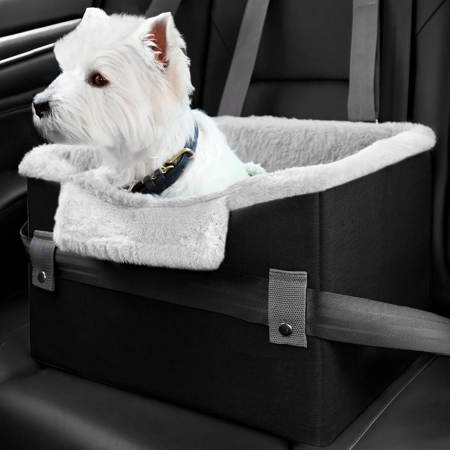 Portable Booster Seat With Clip-On Safety Leash